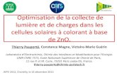 Optimisation de la collecte de lumière et de charges dans les …jnpv.geeps.centralesupelec.fr/documents/docjnpv2012/... · 2013. 2. 11. · Optimisation de la collecte de lumière
