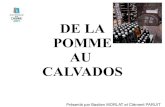 DE LA POMME AU CALVADOS - alwaysdataakilia.alwaysdata.net/scf_old/IMG/pdf/De_la_pomme_au...Table Des Matières I. INTRODUCTION 1. Histoire du Calvados 2. Composition du Calvados II.