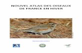 NOUVEL ATLAS DES OISEAUX DE FRANCE EN HIVERfiles.biolovision.net/.../pdffiles/atlasenhiver-2164.pdf · 2010. 4. 30. · - distance optimale de 3 Km (entre 2 et 4 Km) devant être