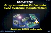 Programmation Embarquée avec Système d'Exploitationhebert/pese/fichiers/cours.pdfSystèmes LINUX embarqués. MC-PESE : Syllabus ... Caractéristiques de la BEAGLEBONE BLACK ... fonctionnement