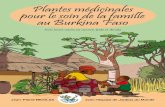 Plantes médicinales pour le soin de la famille au Burkina Faso...1 - Les avantages et les limites de l’utilisation des plantes médicinales 28 2 - De la production à l’utilisation