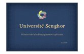 Université Senghor · 2015. 1. 28. · Planification de projets, innovation, qualité, gestion des équipes Gestion des ressources humaines, gestion des services publics, PPP, politiques