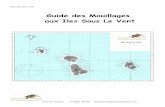 Guide des Mouillages aux Iles Sous Le Vent...2014/05/12  · Il existe de nombreux clubs de plongée pour tous les niveaux du débutant au plongeur confirmé. Il est plus simple de