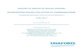 INTERVENTION SOCIALE COLLECTIVE ET COMMUNAUTAIRE · 2020. 10. 8. · 5 Rapport groupe de travail UNAFORIS « Intervention sociale collective et communautaire » (Commission spécialisée