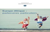 Europe-Afrique : partenaires particuliers · 2019. 6. 27. · en Europe et en Afrique. Ces sommets sont le lieu de discussions – en principe – ouvertes et sincères, devant permettre
