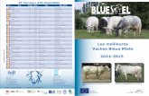 Les meilleures Vaches Bleue Mixte - bluesel.eu · 2014-2015 Union Européenne : Fonds Européen de Développement Régional ... (Skoebidoe) De Coster Dirk 4 5759 3,84 3,48 B T P T