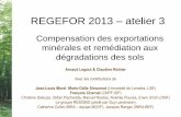 GIP-ECOFOR - REGEFOR 2013 atelier 3 · 2017. 11. 10. · REGEFOR 2013 – atelier 3 Compensation des exportations minérales et remédiation aux dégradations des sols Arnaud Legout