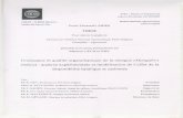 Croissance et qualité organoleptique de la mangue (Mangiferaagritrop.cirad.fr/519573/1/LECHAUDEL-2004-these...Remerciements Je remercie tout particulièrement Michel Génard qui a
