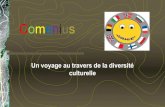 Projet Coménius 2005-2008cache.media.education.gouv.fr/file/.../10/7/Projet_Comenius_279107.… · Des Objectifs en lien avec le Projet d’Ecole Encourager la découverte multiculturelle.
