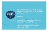 Bilan des activités du COCIN : Une vision de l’écosystème du ......Bilan des activités du COCIN : Une vision de l’écosystème du calcul (et des données) en France M. Daydé