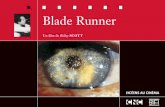 Blade Runner - Lettres et Histoire Géographielettres-histoire-geo.ac-amiens.fr/IMG/pdf/blade.pdf · sique, particulièrement sensible dans Alienet Blade Runner. Ces deux films auront