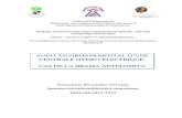 AUDIT ENVIRONNEMENTAL D’UNEbiblio.univ-antananarivo.mg/pdfs/razakanandrasana... · I.2 L’audit environnemental L’audit environnemental s’insère transversalement dans les