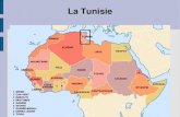 La Tunisie - Académie de Versailles...Le sud Tunisien Oasis de montagne : Tamerza Lac salé : chott el jerid Oasis de plaine : Tozeur Montagne : matmata Ile : Djerba Désert du sahara