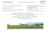 Ministère de l'Environnement, de l'Énergie et de la Mer - rapport …temis.documentation.developpement-durable.gouv.fr/docs/... · 2017. 1. 20. · Rapport final du projet SIGNAL