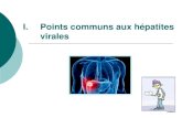 I. Points communs aux hépatites virales...Points clés sur les hépatites virales Le Virus de l’Hépatite A est présent dans les selles des sujets infectés et se transmet lors