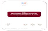 Rapport GPECT Disecom GPECT...CMA Pyrénées – GPECT DISECOM – Rapport d'étude Juillet 2013 page 4 Haute-Garonne : 22% Hautes-Pyrénées 69% Objectif général du projet GPEC