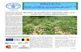 FAO-InfoFAO-Info, janvier-février-mars 2011 Page 3 Bulletin bimestriel d’information de l’Unité de Coordination des Urgences et de la Réhabilition Programme de multiplication