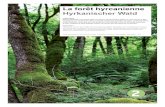 La forêt hyrcanienne Hyrkanischer Wald · 2020. 10. 6. · Talysh-Gebirge (Talış dağları) Der Talysh bildet den Übergang vom Becken des Kaspischen Meeres zum nordwest-iranischen