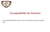 Comptabilité de Gestion - PIIMT...Système de gestion •Un système de gestion est une structure éprouvée pour la gestion et l'amélioration des stratégies, procédures et processus