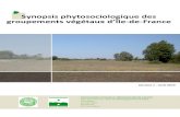 S ynopsis phytosociologique des goupements végétaux d’Île ... I… · Synopsis phytosoiologique des groupements végétaux d’Île-de-France. Version 1 - avril 2015. Conservatoire