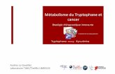 Métabolisme du Tryptophane et cancer - CLARA · 2015. 4. 13. · Pr Bertrand Toussaint ... Soutenance de Thèse _ Yan WANG _ 18/04/2012 ‐3 M ‐2 M ‐14D/‐7D Day 0 Tumorchallenge
