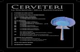 Cerveteri - Aracne · 2017. 9. 20. · nuclei di necropoli, corrispondenti forse ai singoli agglomerati di capanne, in località Laghetto-Banditaccia, Cava della Pozzolana e Sorbo.