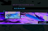 ALSACE - Pioneer et moi · 2018. 7. 14. · ALSACE Christophe Wolff 06 80 34 03 37 Départements 67, 68 et 90 Suivez le fil d’actus de l’Alsace sur LES NOUVEAUTÉS 2018 POUR L’ALSACE