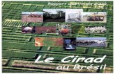 Archive ouverte du Cirad - Agritropagritrop.cirad.fr/481316/1/ID481316.pdfdynamique du carbone dans les systèmes de culture. Le dispositif de terrain du Cirad en matière de création