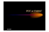 TCC et TABAC...TCC et TABAC 30.01.2015 JMG 2008 2 Le conditionnement opérant 30.01.2015 3 Les cognitions Stimulus -interne - externe Attentes croyances Pensées automatiques craving