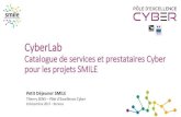 CyberLab - SMILE smart grids Lab - Catalogue de...•BEMS (Building) •Bornes recharge VE •IED, RTU •Actionneurs •IoT •Micro génération •DMS •Sub-station automation