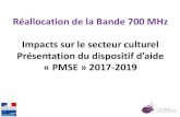 Réallocation de la Bande 700 MHz Impacts sur le secteur culturel … · 2019. 6. 4. · (source Livre Blanc « Réallocation de la bande 700MHz : conséquences sur les productions