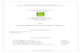 République Algérienne Démocratique et populaire Université Abou …dspace.univ-tlemcen.dz/bitstream/112/11809/1/Ms.Gc... · 2017. 12. 6. · Année universitaire 2012-2013 République