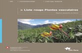 Liste rouge Plantes vasculaires - infoflora.ch...La Liste rouge des plantes vasculaires de Suisse a été révisée par Info Flora selon les directives de l’UICN, 14 ans après la