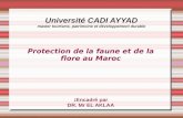 Université CADI AYYADd1n7iqsz6ob2ad.cloudfront.net/document/pdf/5396ff8889549.pdf · 2014. 6. 10. · Université CADI AYYAD master tourisme, patrimoine et développement durable