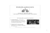 Embolie p 20pulmonaire.pdfآ  2012. 3. 17.آ  Embolie pulmonaire Dأ©finition: oblitأ©ration brusque, partielle