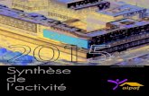 Synthèse de l’activité - economie.gouv.fr · 2016. 9. 8. · à disposition de l’ALPAF rue Césaria Evora - Paris 19ème par la société RLF (Résidence le Logement des fonctionnaires)