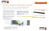 Brique Béton BlocStar Am70...Norme : NF P18-503 «Surfaces et parements de Béton » Longueur 500 mm, hauteur 50 mm et Epaisseur courante de 70 mm et pose traditionnelle maçonnée