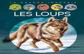 LES LOUPS - fnac-static.com · 2020. 2. 6. · Un loup solitaire ou isolé hurle pour appeler son groupe, signaler sa présence aux autres loups, entrer en contact avec une compagne