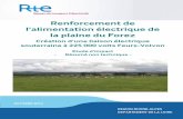 Renforcement de l’alimentation électrique de la plaine du ... · La loi a confié à RTE la gestion du réseau public de transport d’électricité français. Entreprise au service