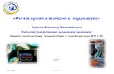 Куликов Александр Вениаминович · Paech M. Newer techniques of labor analgesia //Anesthesiology Clinics of North America - 2003- Vol 21, № 1 - P 1-17