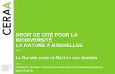 DROIT DE CITÉ POUR LA BIODIVERSITÉ LA NATURE À BRUXELLES · 2018. 6. 19. · La nature à Bruxelles » Dispositifs : Toitures vertes INTÉGRATION DE LA NATURE DANS LE BÂTI 13