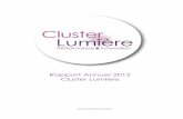 Rapport Annuel 2012 Cluster Lumière · 2015. 11. 30. · Nicolas Oternaud Philips AUTOMATION France/ TRACEDGE/ WE GIL SYNDICAT DU FOCUS ON Les membres du Cluster Lumière Laboratoires
