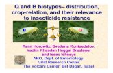 Q and B biotypesâ€“ distribution, crop-relation, and their relevance 2018. 12. 5.آ  Various populations