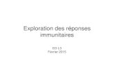 Exploration des réponses immunitaires · 2020. 2. 26. · Immunité adaptative. Lymphocyte B. ... Mesure de la prolifération en cytométrie en flux . après marquage au CFSE. Immunité