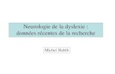 Neurologie de la dyslexie : données récentes de la recherche › IMG › pdf › neurodysMH2011red-2.pdfdyslexie •Les découvertes initiales de Galaburda sur le cortex d'humains