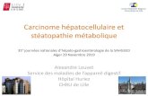 Carcinome hépatocellulaire et stéatopathie métabolique · 2019. 12. 15. · CHC non traité : survie moindre par rapport aux hépatites virales Traitement curatif : - survie sans