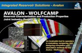 2’’ 1.5’’ 1’’ 0.5’’ · 0.5’’ Rotary Plug Rotary Plug. Rotary Rotary Plug . Title: Avalon-Wolfcamp Shale - Poster Author: Core Laboratories - IRS Division Subject:
