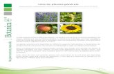Liste de plantes généraleListe de plantes générale otani a GmH • Industrie Nord • 5643 Sins • Switze land • www. otani a. h • +41 41 757 00 00 1 500’ La liste suivante