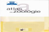 Atlas de zoologie - Libris.ro de zoologie.pdf · 2016. 12. 16. · CELULA gt T*$uTUHrrH Taate {linfrfr vii sunt alefrtxite dis} i}iqt* "pi*s*" Rumi- te n**ul*.Aee*tea *u*t atAt de