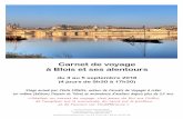 Carnet de voyage à Blois et ses alentoursdata.over-blog-kiwi.com/1/49/56/99/20180523/ob_3cf2a5...2018/05/23  · «carnet de voyage», c’est un truc pour le vendre!!). Format de